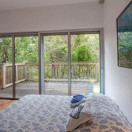 Pin-pente A Hossegor Entre Lac Et Ocean -7 Personnes Wifi Gratuit Vila *